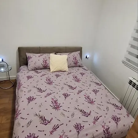 Sjaj * Ledine